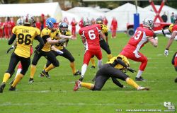 JLT-2013-H_Beck-0267