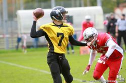 JLT-2013-H_Beck-0447