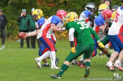 JLT-2013-H_Beck-0662