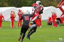 JLT-2013-H_Beck-1054