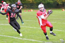 JLT-2013-H_Beck-1099