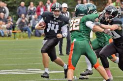 HB__0338